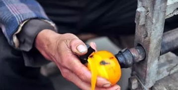 鄉(xiāng)村旅游規(guī)劃設(shè)計(jì) 賺取農(nóng)業(yè)行業(yè)90%收入的初級(jí)農(nóng)產(chǎn)品模式探索