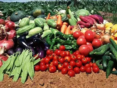 農業產品知多少 家禽家畜篇