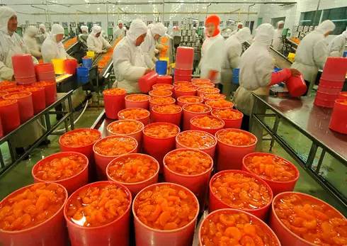 農(nóng)業(yè)的五座“金礦” 抓住初級(jí)農(nóng)產(chǎn)品機(jī)遇，實(shí)現(xiàn)創(chuàng)富增收