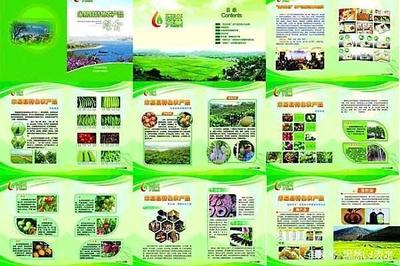 初級農產品的定義、類別范圍及其與其他相關概念的區別