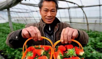 6億人口農(nóng)村電商 初級(jí)農(nóng)產(chǎn)品的機(jī)遇與挑戰(zhàn)